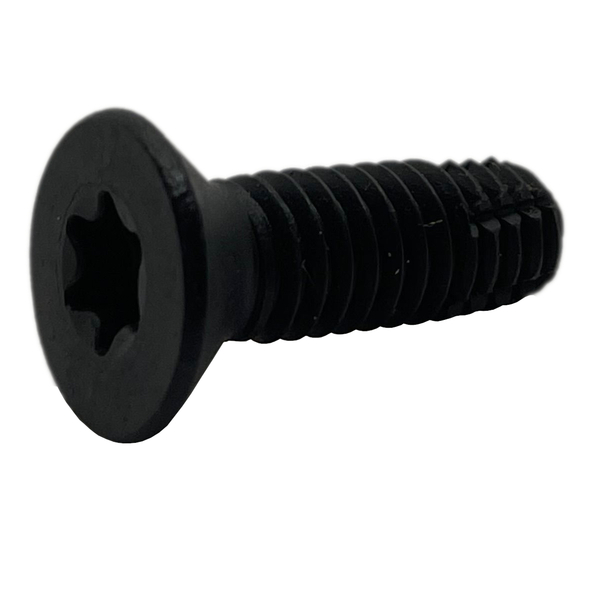 A0160160100FBT 1/4-20 X 1 TORX FLOOR  BOARD SCREW